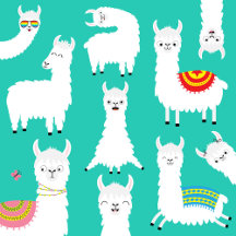 Llama alpaca face