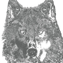 Animal Art