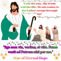 Spectacular button collection