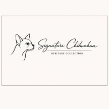 Signature Chihuahua | Heritage Collection