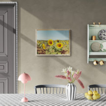 Vintage sunflower field