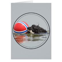 PWD NOTE CARDS