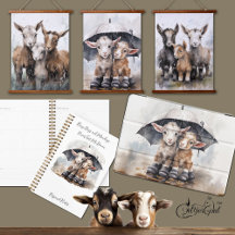 Cute Rainy Day Goats 