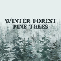 Winter Forest Pine Tree