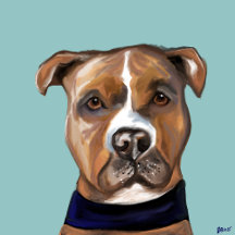 PET ART 