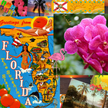 SUNNY FLORIDA, BEST SELLERS, COLLECTION