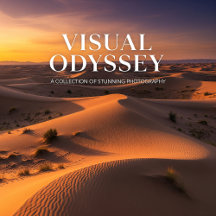 Visual Odyssey