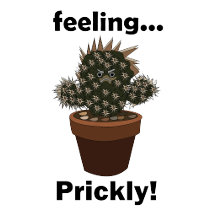 Cactus- Feeling Prickly