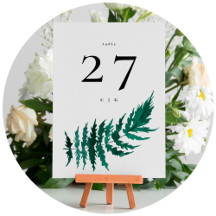 Shop Wedding Stationery, Décor & More
