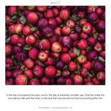 PROSPERITY SCRIPIX'S - CARDS & INVITATIONS