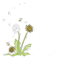 Bees are Buzzing!