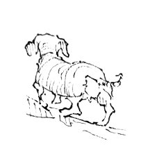 Dog Memorial Art Collection