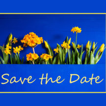 Save The Date Wedding Announcements