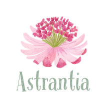 Astrantia Wedding Invitations