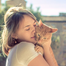 Cat lover - pets