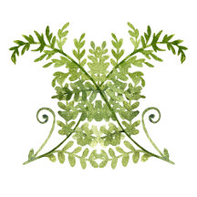 Fancy Electronics Accessories