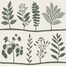 Gentle Botanic Rhythm