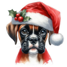 Jingle Paws