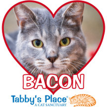 Bacon
