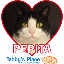 Pepita