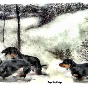 Dachshund Christmas Holiday Card