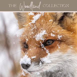 Christmas card - rustic baubles cute Boho style