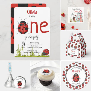 Whimsical LadyBug Garden House Swing 1st Birthday  Invitation