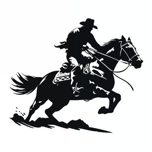 1st Rodeo Cowboy Western Banner for First Birthday