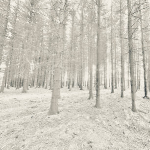 Shower Curtain with Skulls