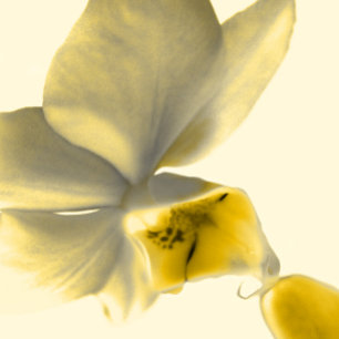 Artistic Flower in Yellow Tones - Wedding Invitation