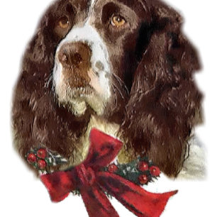English Springer Spaniel Christmas Gifts Holiday Card
