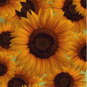 Sunflower party hats