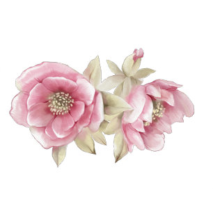  Bridal Shower Invitation