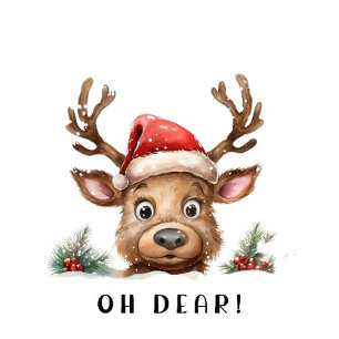 FUNNY Holiday Reindeer  Large Christmas Stocking