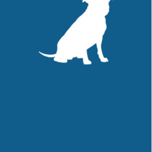 Pit Bull Dog Baby Shower Blue Boy Pitbull Invitation