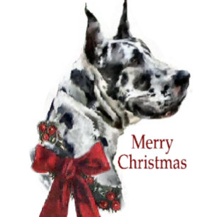 Harlequin Great Dane Christmas Gifts Holiday Card