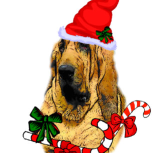 Bloodhound Christmas Holiday Card