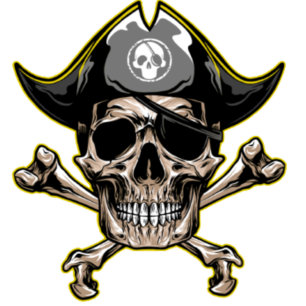 Pirate Party Skull and Bones theme Invitation