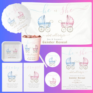 He or She, Pink or Blue Stroller Gender Reveal Banner