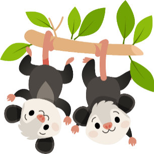 Cute Opossums Personalised Welcome to Birthday  Banner