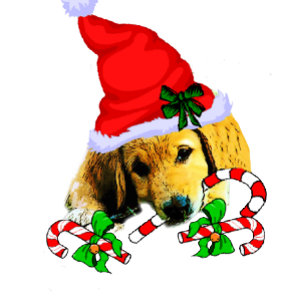 Cute Golden Retriever Puppy Christmas Holiday Card