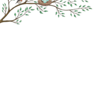 Robin Bird Spring Baby Shower Co-Ed Gender Neutral Invitation