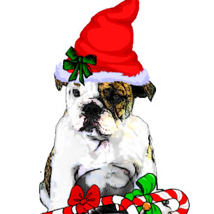Cute English Bulldog Christmas Holiday Card