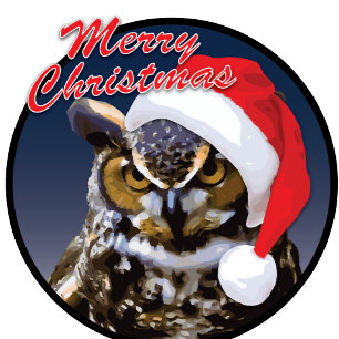Christmas Owl - Greeting Card, Standard Holiday Card