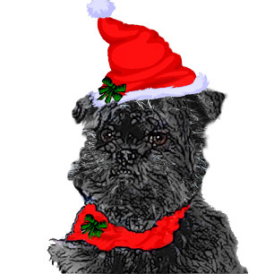 Affenpinscher Christmas Cards Personalised