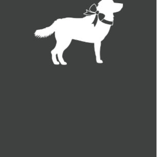 Siberian Husky Dog Baby Shower Blue Boy Invitation