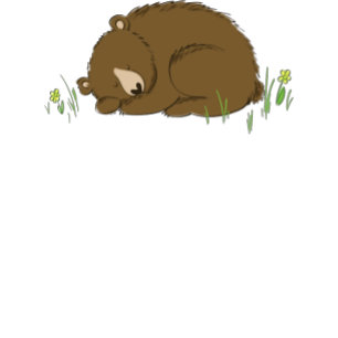 Brown Bear Baby Shower Woodland Animals Invitation