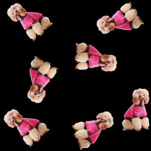 Oodles Of Poodles (Pink on Black) Wrapping Paper