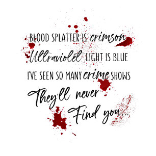 Blood Stains Are Crimson Red   Dark Murder Mystery Key Ring