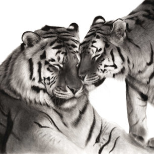 Tiger Love Art - Hand Painted Wildlife Decor Tapestry